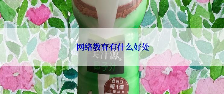  网络教育有什么好处