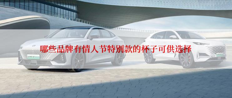 哪些品牌有情人节特别款的杯子可供选择