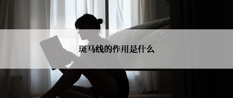 斑马线的作用是什么