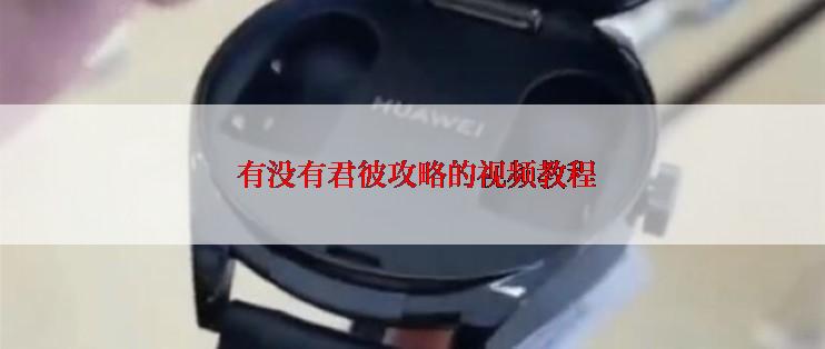  有没有君彼攻略的视频教程