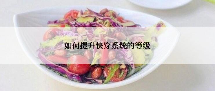 如何提升快穿系统的等级