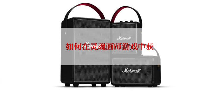 如何在灵魂画师游戏中获