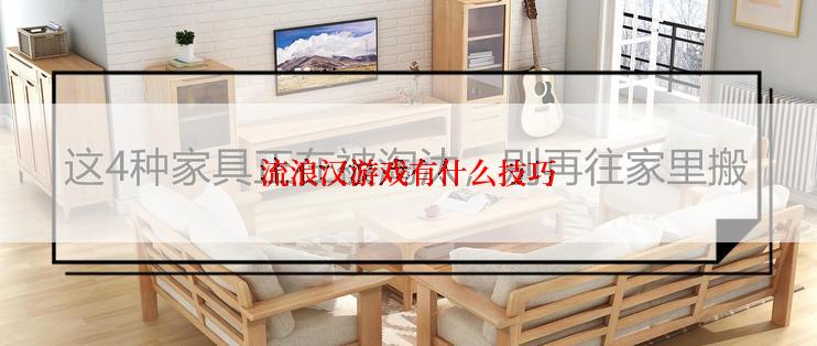 流浪汉游戏有什么技巧