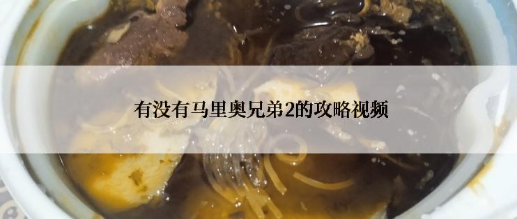  有没有马里奥兄弟2的攻略视频