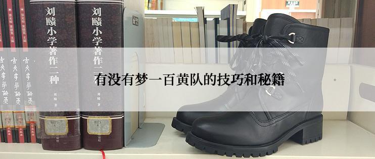  有没有梦一百黄队的技巧和秘籍