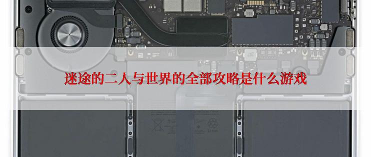 迷途的二人与世界的全部攻略是什么游戏