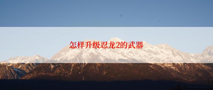 怎样升级忍龙2的武器