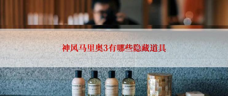 神风马里奥3有哪些隐藏道具