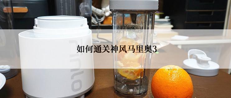  如何通关神风马里奥3