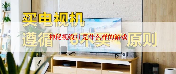 神秘视线11 是什么样的游戏