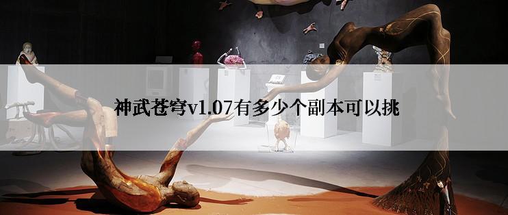 神武苍穹v1.07有多少个副本可以挑