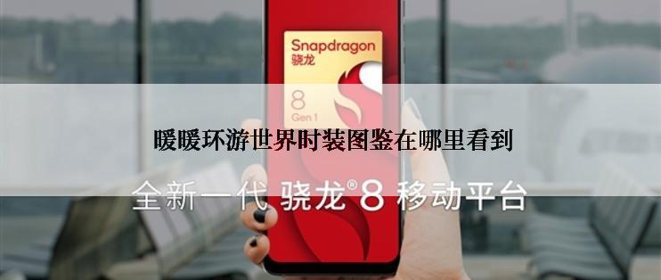  暖暖环游世界时装图鉴在哪里看到