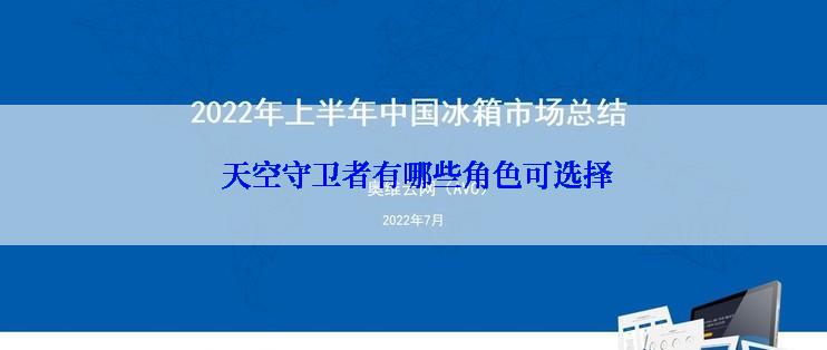  天空守卫者有哪些角色可选择