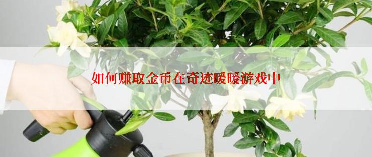 如何赚取金币在奇迹暖暖游戏中