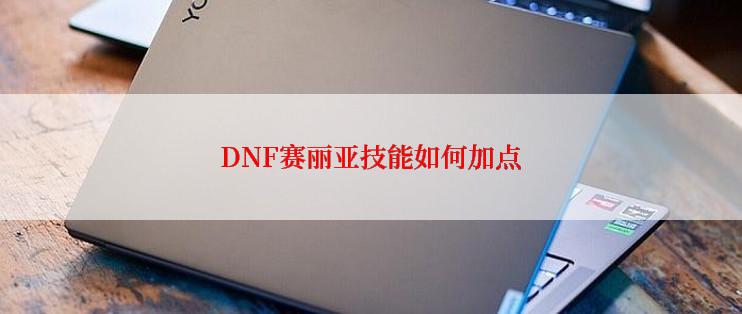 DNF赛丽亚技能如何加点