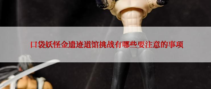 口袋妖怪金遗迹道馆挑战有哪些要注意的事项