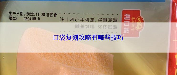 口袋复刻攻略有哪些技巧