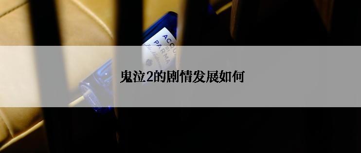  鬼泣2的剧情发展如何