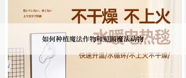 如何种植魔法作物和照顾魔法动物