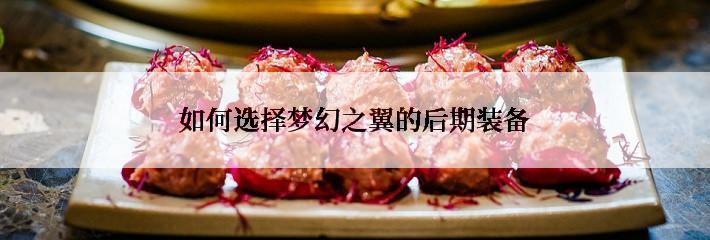 如何选择梦幻之翼的后期装备