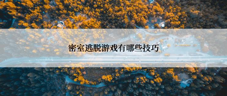 密室逃脱游戏有哪些技巧