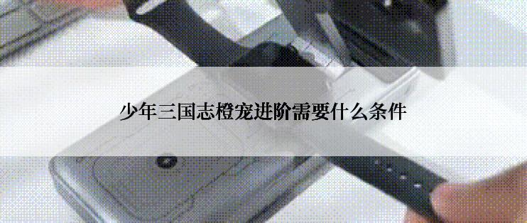 少年三国志橙宠进阶需要什么条件