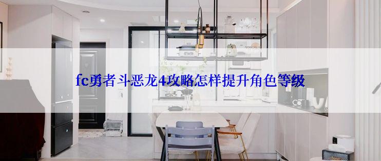 fc勇者斗恶龙4攻略怎样提升角色等级