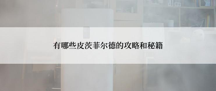 有哪些皮茨菲尔德的攻略和秘籍