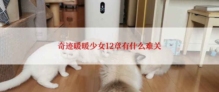 奇迹暖暖少女12章有什么难关