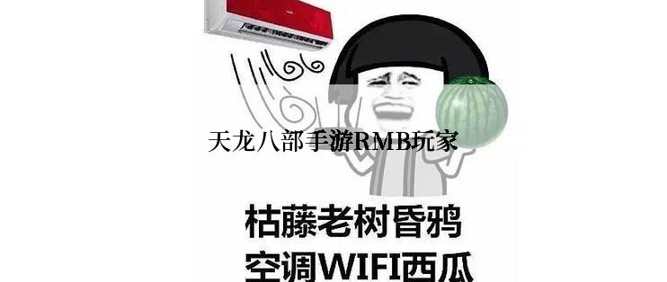 天龙八部手游RMB玩家