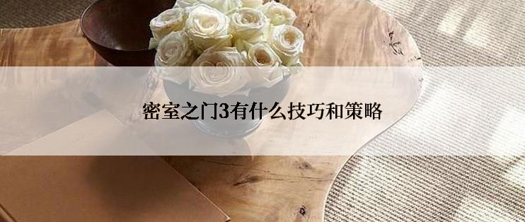 密室之门3有什么技巧和策略