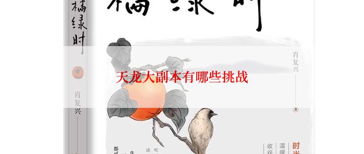 天龙大副本有哪些挑战