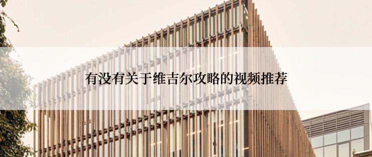 有没有关于维吉尔攻略的视频推荐