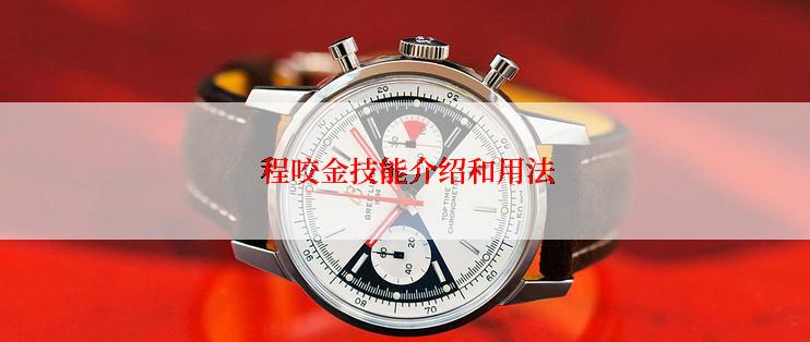  程咬金技能介绍和用法