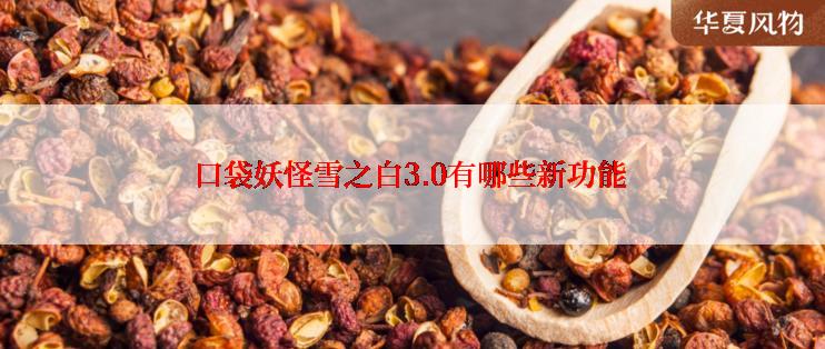 口袋妖怪雪之白3.0有哪些新功能