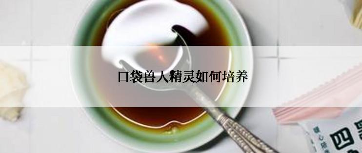  口袋兽人精灵如何培养