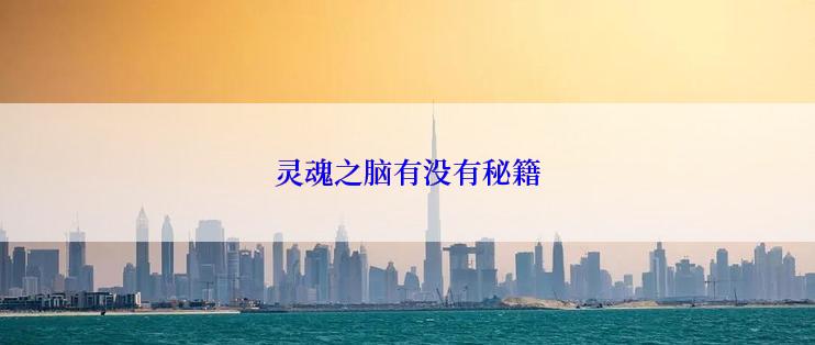 灵魂之脑有没有秘籍