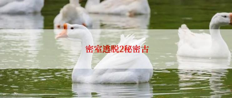  密室逃脱2秘密古