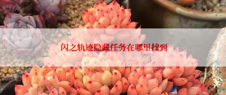  闪之轨迹隐藏任务在哪里找到