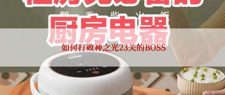  如何打败神之光23关的BOSS