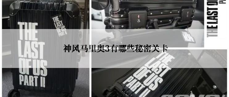  神风马里奥3有哪些秘密关卡