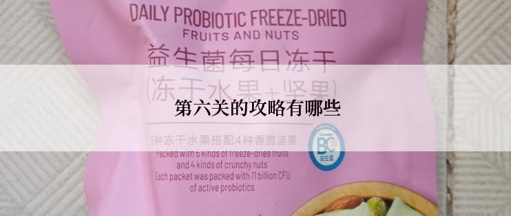  第六关的攻略有哪些