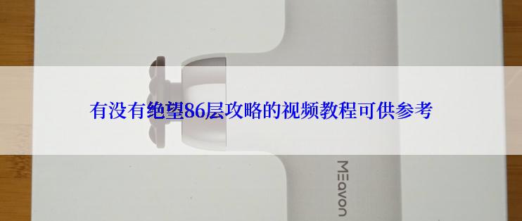 有没有绝望86层攻略的视频教程可供参考