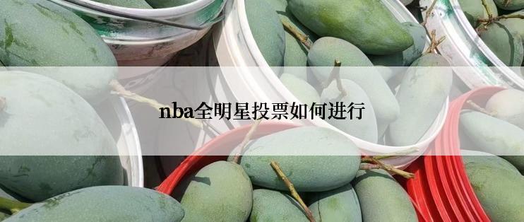 nba全明星投票如何进行