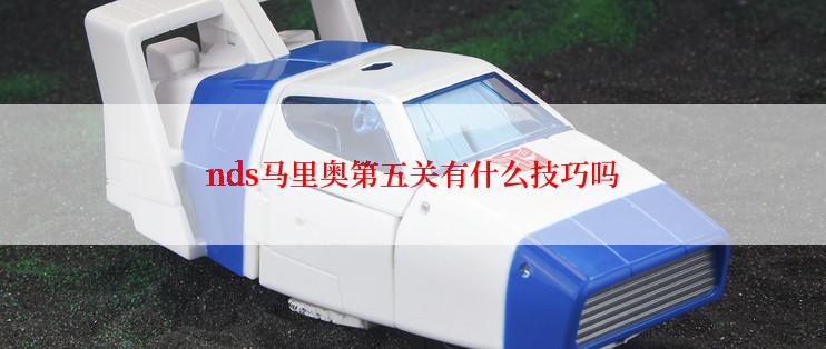 nds马里奥第五关有什么技巧吗