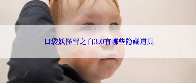  口袋妖怪雪之白3.0有哪些隐藏道具