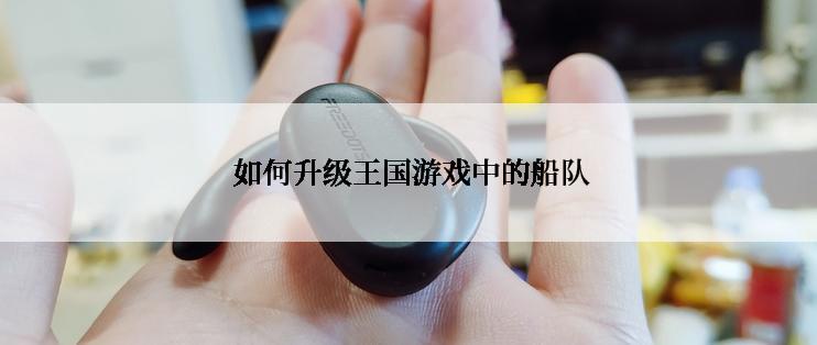  如何升级王国游戏中的船队