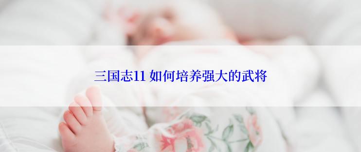 三国志11 如何培养强大的武将