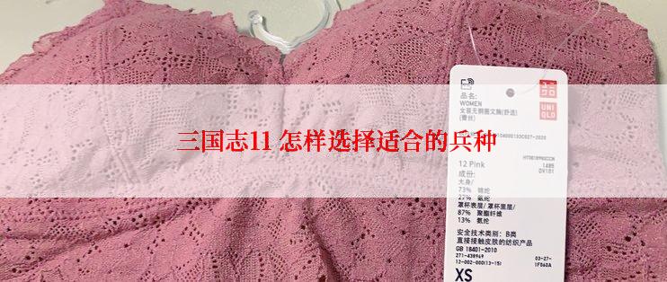  三国志11 怎样选择适合的兵种