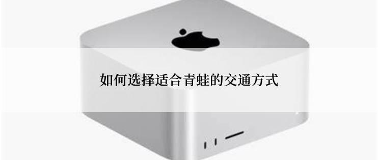如何选择适合青蛙的交通方式